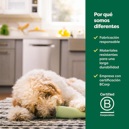 The SniffHunt™: Juguete de Enriquecimiento y Relajación Mental