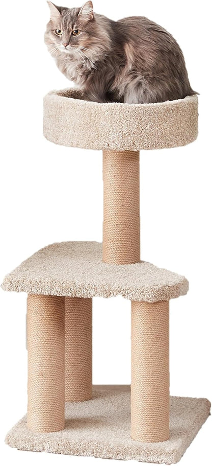CatZen Tower