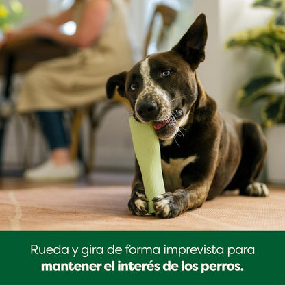 The SniffHunt™: Juguete de Enriquecimiento y Relajación Mental